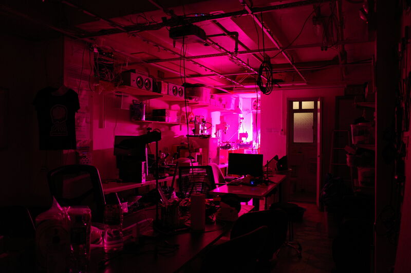 Photo of the space illuminated by the grow lamp