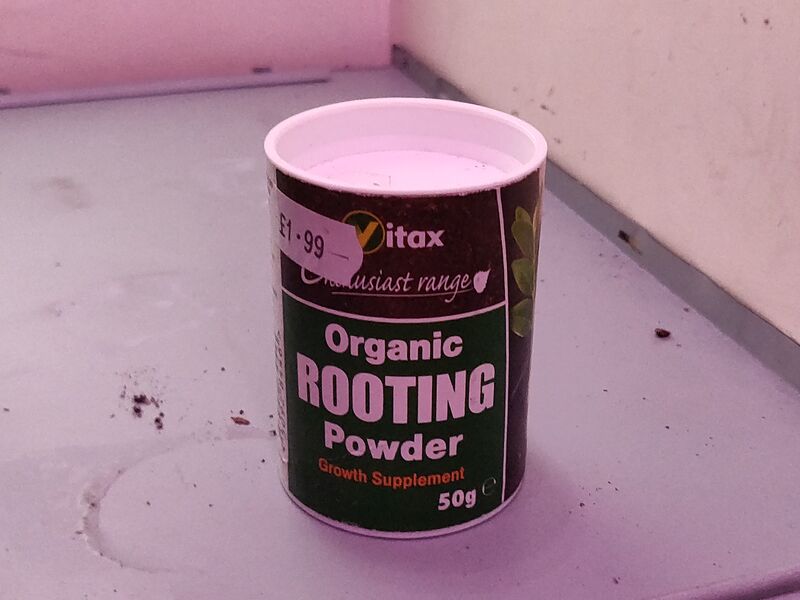 Photo of rooting powder